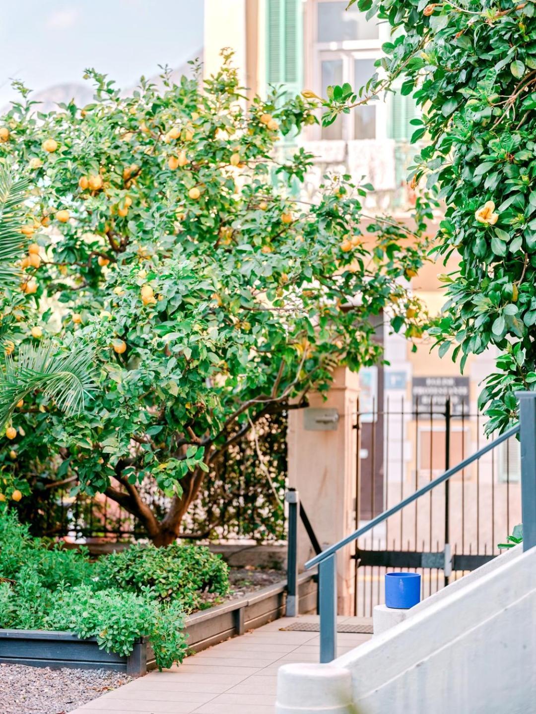 Hotel Lemon Menton Exteriér fotografie