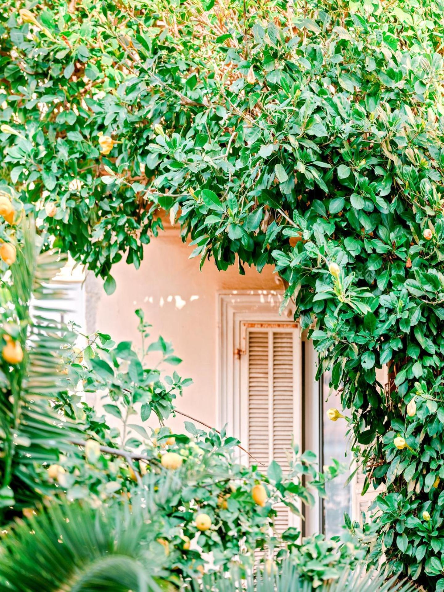 Hotel Lemon Menton Exteriér fotografie